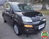FIAT Panda 1.2 Easy UNICO PROPRIETARIO