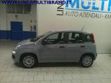 FIAT Panda 1.0 FireFly S&S Hybrid Garanzia 24 Mesi Promo
