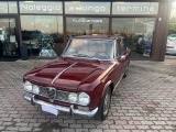 ALFA ROMEO Giulia SUPER S1600  ASI ORO