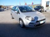FIAT Punto 1.3 MJT II 75 CV 5 porte Easy