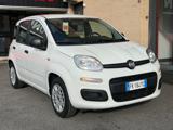 FIAT Panda 1.2 Easy (NESSUN VINCOLO)