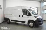 FIAT Ducato 30 2.2 Mjt 140CV PM-TM Furgone - 3 Posti