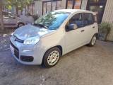FIAT Panda 1.0 FireFly S&S Hybrid NEOPATENTATI - PREZZO REALE