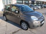 FIAT Panda Panda III 2021 1.0 firefly hybrid s&s