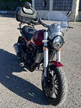 BENELLI Leoncino 500 .