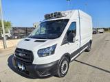 FORD Transit 350 2.0TDCi EcoBlue 170CV L3H3 FRIGO RIVACOLD -20°