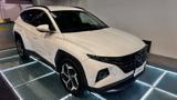 HYUNDAI Tucson 1.6 HEV aut. XLine CERCHI 19