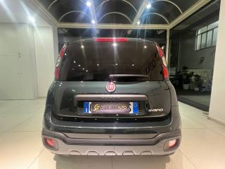 FIAT Panda usata, con Airbag Passeggero