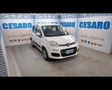 FIAT New Panda 1.2 69cv Easy