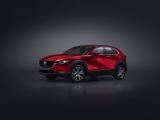 MAZDA CX-30 2.0L e-Skyactiv-G 150 CV M Hybrid 2WD Homura