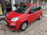 FIAT Panda 1.2 Pop UNICA PROPRIETARIA MONTIAMO SCHERMO BLUETO