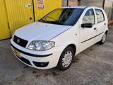 FIAT Punto 1.2 5 porte Active Natural Power  NEOPATENTATI