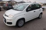 FIAT Panda Panda III 2021 1.0 firefly hybrid s&s