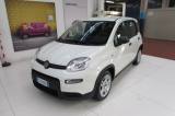 FIAT Panda 1.0 FireFly 70cv S&S Hybrid Km.7.710