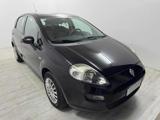 FIAT Punto 1.2 8V 5 porte Lounge
