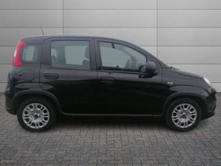 FIAT Panda usata, con Airbag Passeggero
