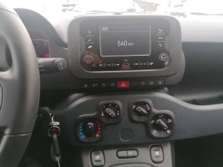 FIAT Panda usata, con Immobilizzatore elettronico