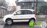 FIAT Panda 1.3 MJT 16V DPF 4x4 Climbing CON SOLI 78 MILA KM