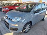 FIAT Panda 1.0 FireFly S&S Hybrid Uniprò Clima Fatturab.