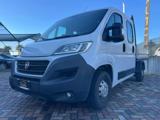 FIAT ducato  ducato doppia cabina