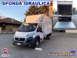 FIAT Ducato 2.3 M-Jet 150 cv CASSA + SPONDA IDRAULICA