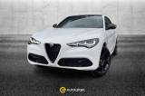 ALFA ROMEO Stelvio 2.0 Turbo 280 CV AT8 Q4 Tributo Italiano