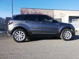LAND ROVER Range Rover Evoque 2.0 eD4 5p. Business Edition Premium Pure