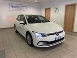 VOLKSWAGEN Golf 2.0 TDI 115 CV SCR Life