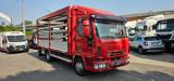 IVECO EUROCARGO 80E21 CENTINATO ALZA E BASSA MT5.15