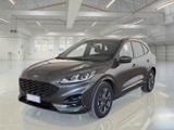 FORD Kuga 2.0 EcoBlue 120 CV aut. 2WD ST-Line Business