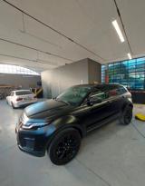 LAND ROVER Range Rover Evoque 2.0TD4 150CV 5P Bus Ed Pure PROMO 23/12 NO VINCOLI
