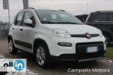 FIAT Panda Panda 1.0 70cv Hybrid City Life