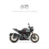 TRIUMPH Other TRIDENT 800