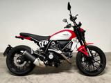 DUCATI Scrambler 800 ICON