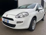 FIAT Punto 1.4 8V 5 porte Natural Power Lounge