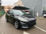 FORD Kuga 2.0 EcoBlue 120 CV aut. 2WD ST-Line