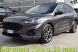 FORD Kuga 1.5 EcoBlue 120 CV 2WD ST-Line