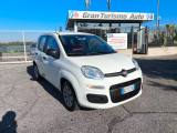 FIAT Panda 1.2 Easy PREZZO REALE! TAGLIANDI FIAT