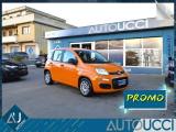 FIAT Panda 1.0 FireFly Hybrid 70 CV