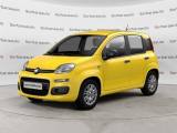 FIAT Pandina 1.0 FireFly S&S Hybrid Icon
