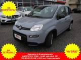 FIAT Panda 1.0 FireFly S&S Hybrid City Life - OK NEOPATENTATI