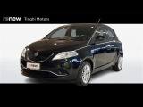 LANCIA Ypsilon 5 Porte 1.2 69cv Gold