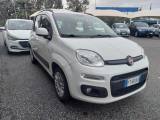 FIAT Panda 1.2 Lounge GPL Lounge Distribuzione ok km 89000