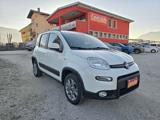 FIAT Panda 1.3 MJT 80 CV S&S 4x4