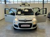 FIAT Panda 1.2 Easy *OK NEOPAT.*UNICO PROP.*