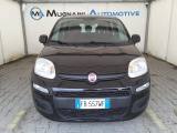 FIAT Panda 1.2 Easy *EURO 6*OMOLOGAZIONE 5 POSTI*