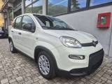 FIAT Panda PANDINA 1.0 firefly hybrid OK NEOPATENTATO