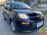 FIAT Panda 1.0 FireFly S&S Hybrid UNICO PROPR.