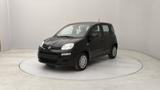 FIAT Pandina 1.0 firefly hybrid s&s 70cv