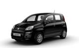 FIAT Pandina 1.0 FireFly 65 CV Hybrid Icon
